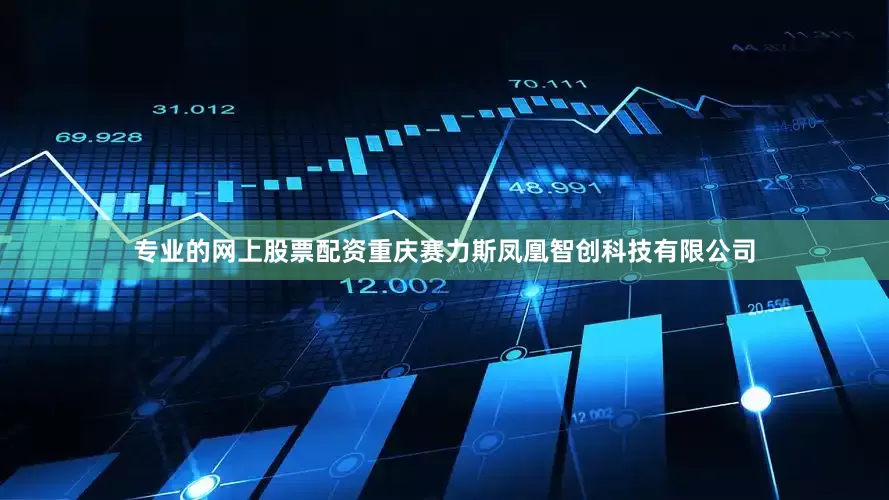 专业的网上股票配资重庆赛力斯凤凰智创科技有限公司
